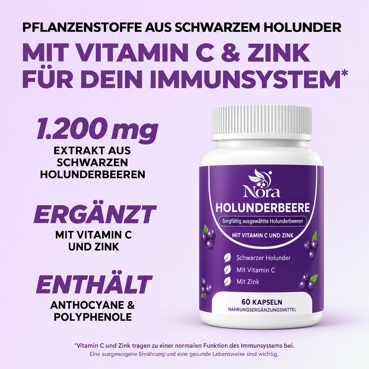 Darm-Support-Komplex mit Holunderbeere, Zink & Vitamin C